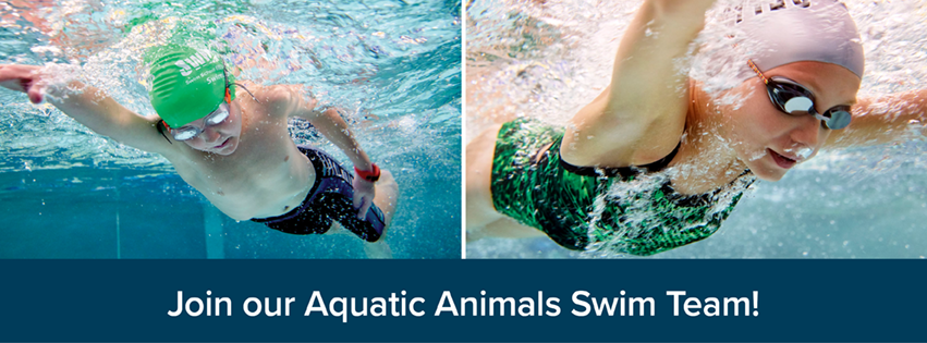 SL_0618_SwimTeam_emailheader_SandyUT